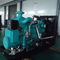 Ηλεκτρονική γεννήτρια φυσικού αερίου αναμικτών 200kw, υψηλή θερμική γεννήτρια αερίου αποδοτικότητας βιο